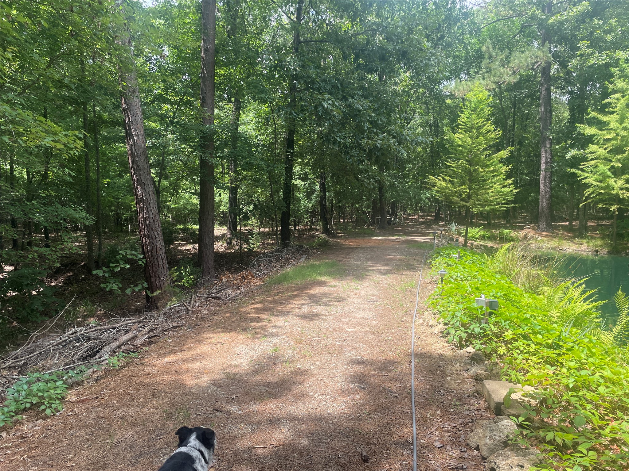 0000 County Road 3450 Hawkins TX 75765