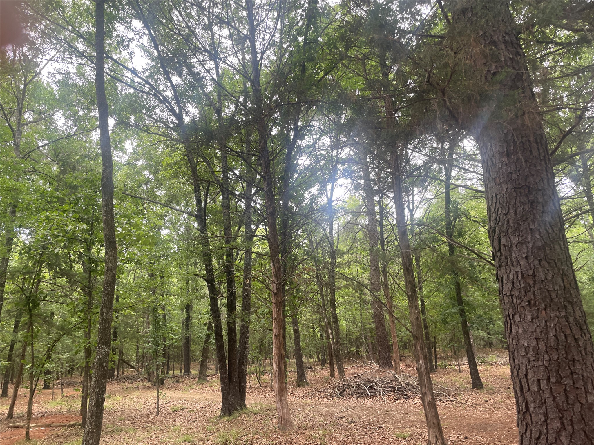 0000 County Road 3450 Hawkins TX 75765