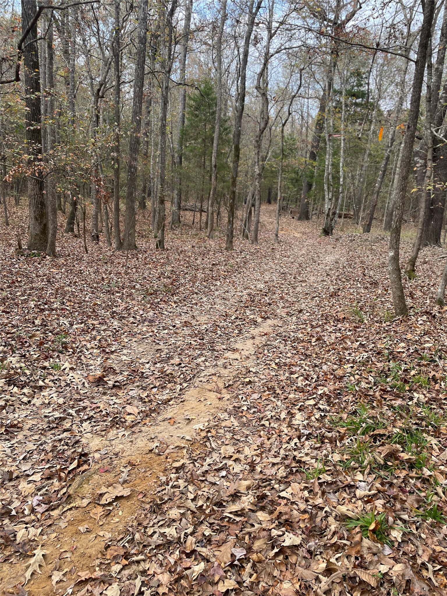 0000 County Road 3450 Hawkins TX 75765