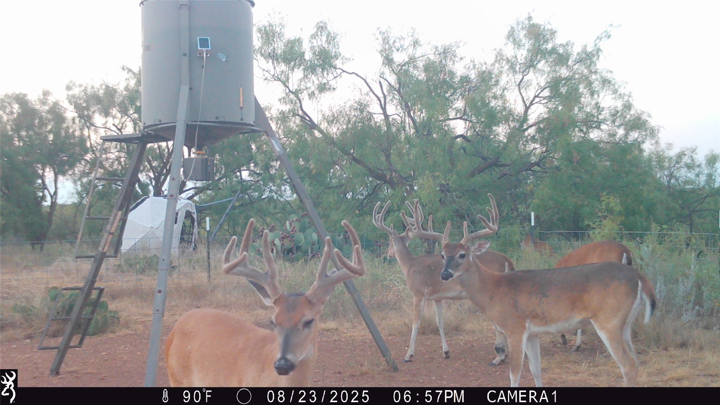 1078 County Road 498 Goldsboro TX 79519