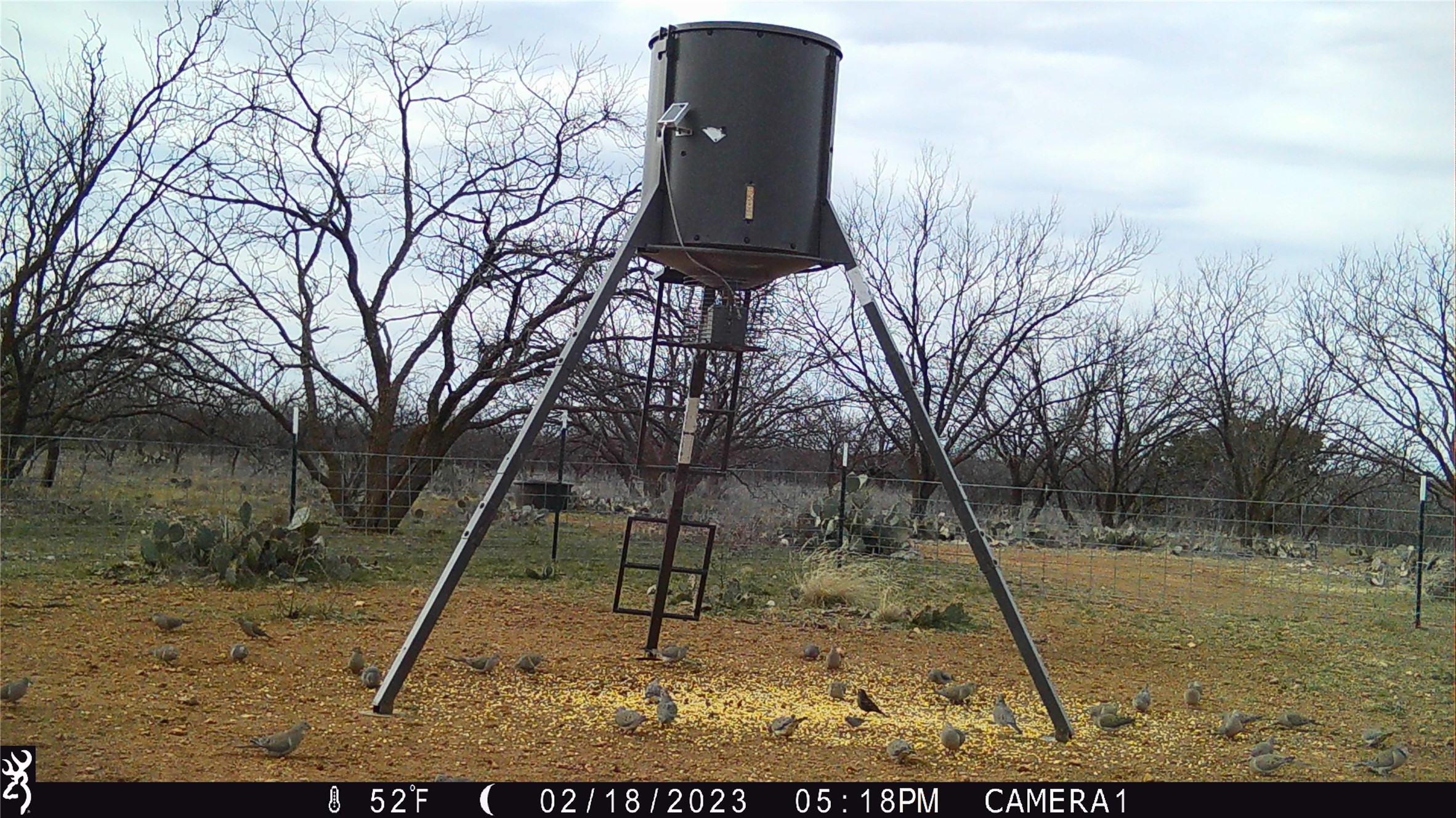 1078 County Road 498 Goldsboro TX 79519