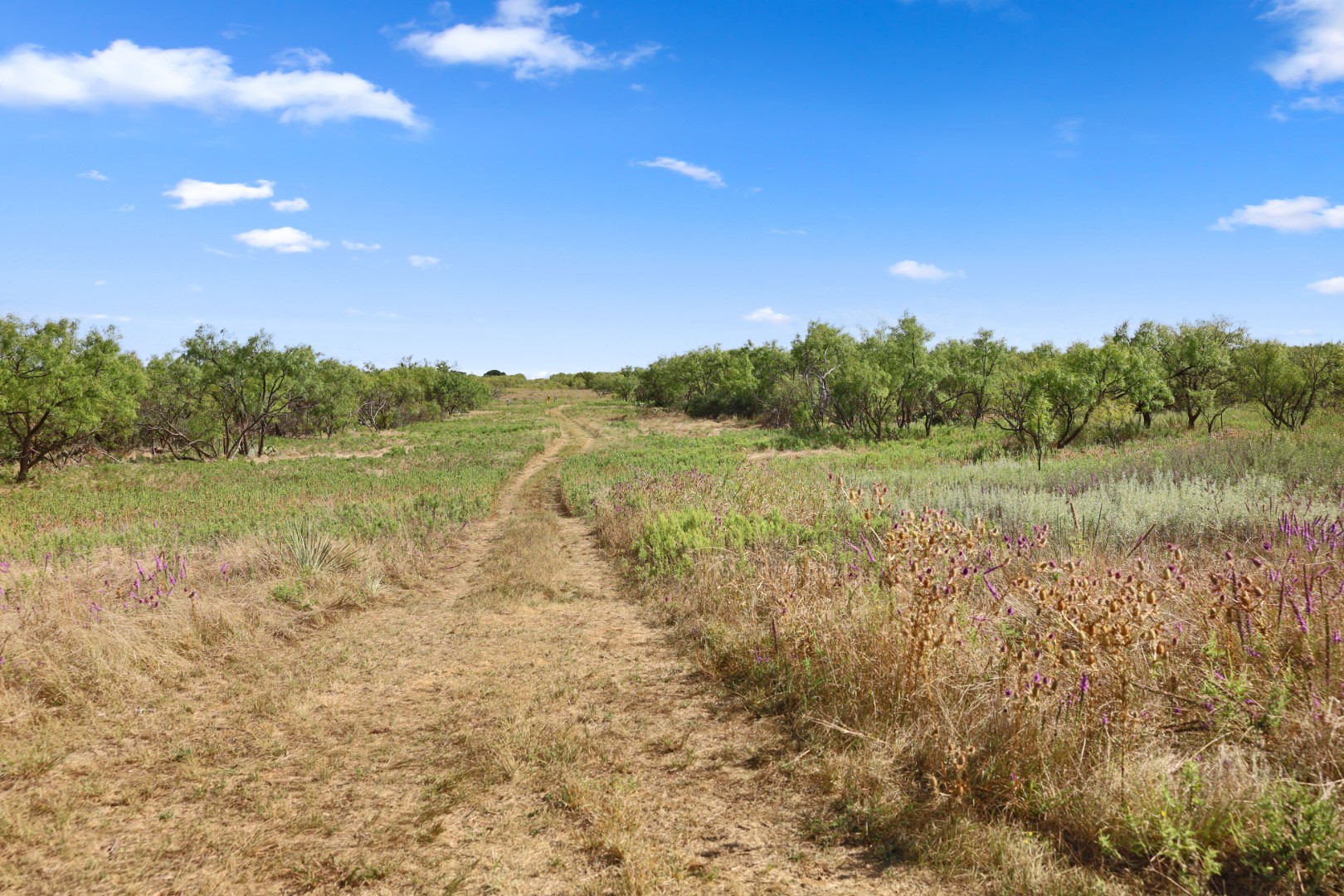 1078 County Road 498 Goldsboro TX 79519