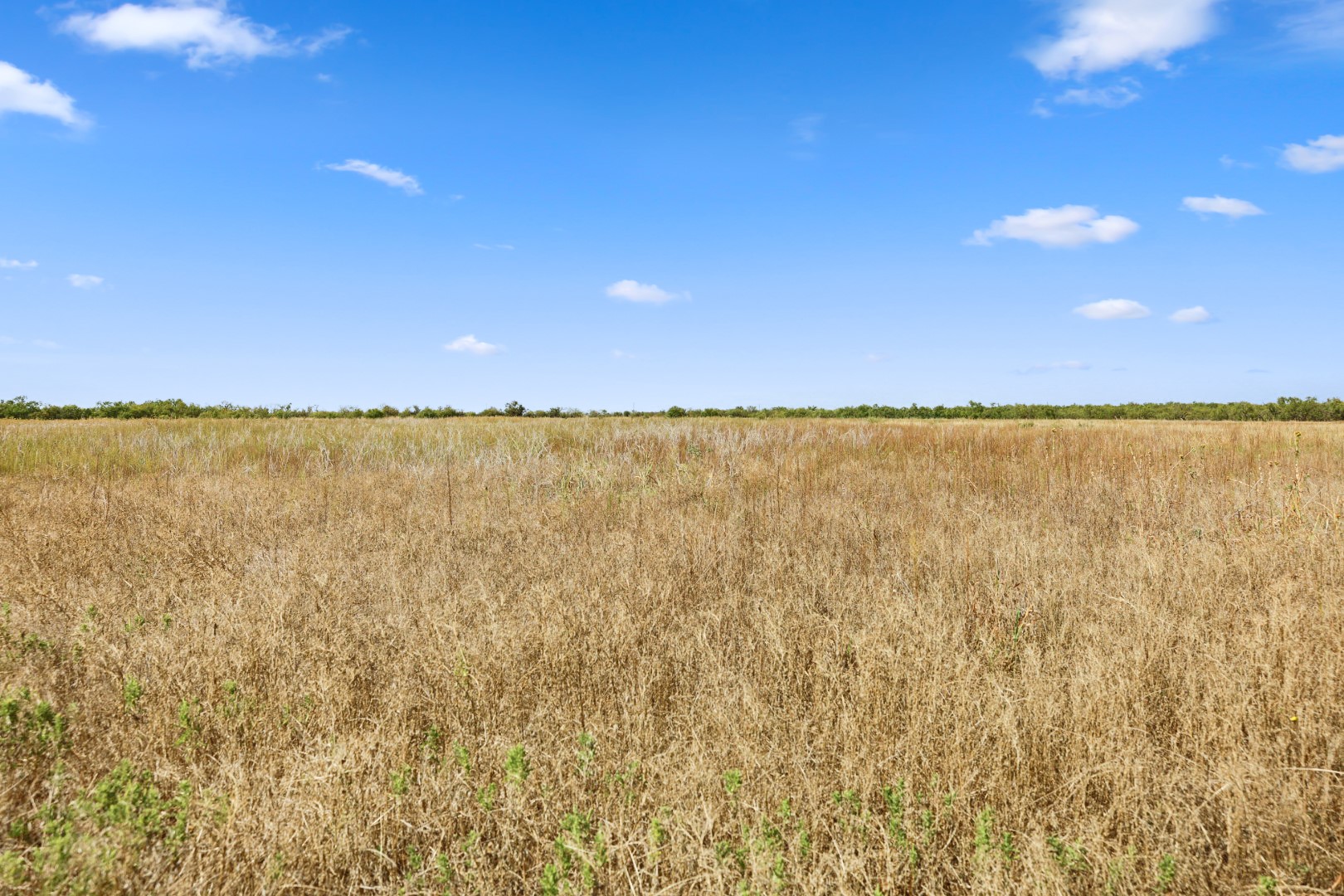 1078 County Road 498 Goldsboro TX 79519
