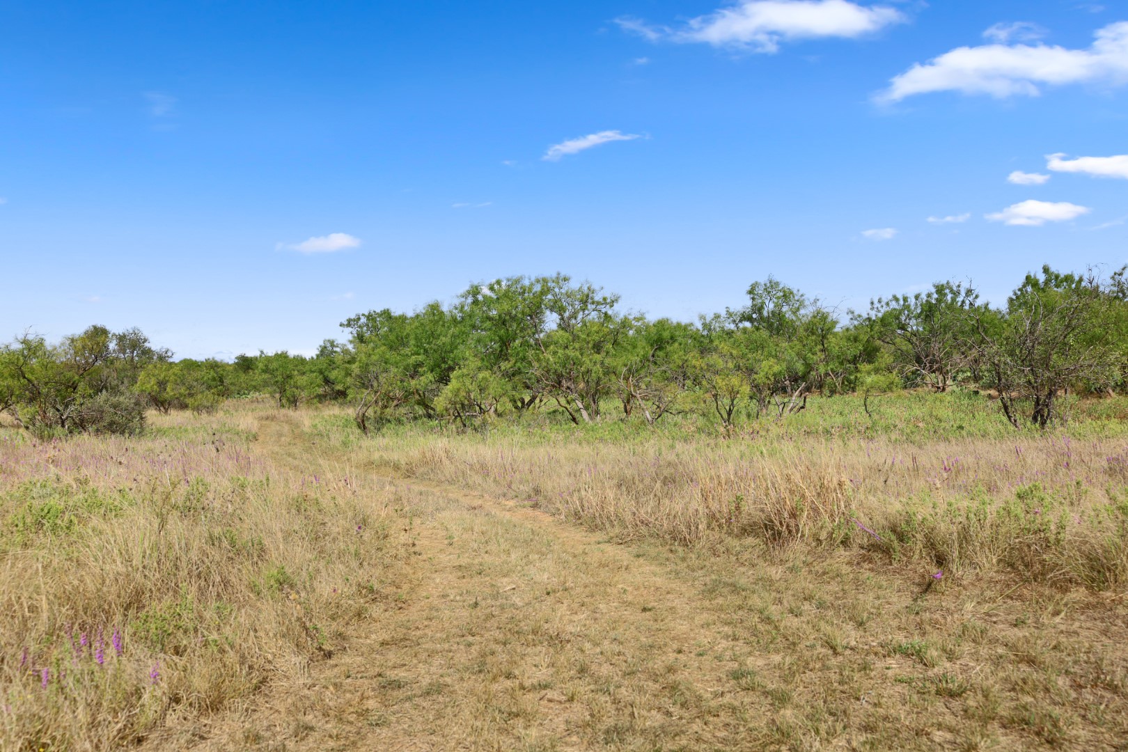1078 County Road 498 Goldsboro TX 79519