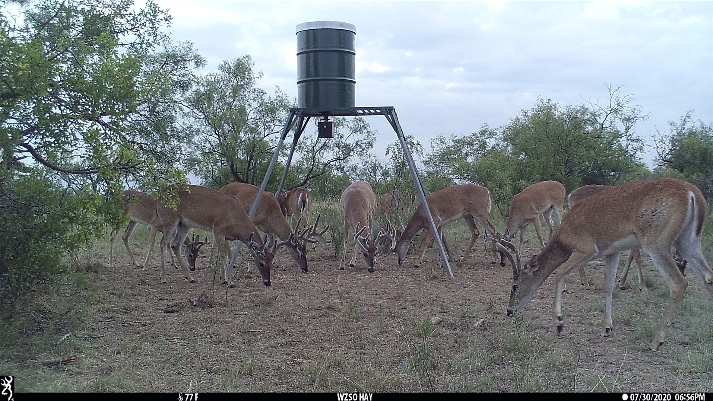 1078 County Road 498 Goldsboro TX 79519