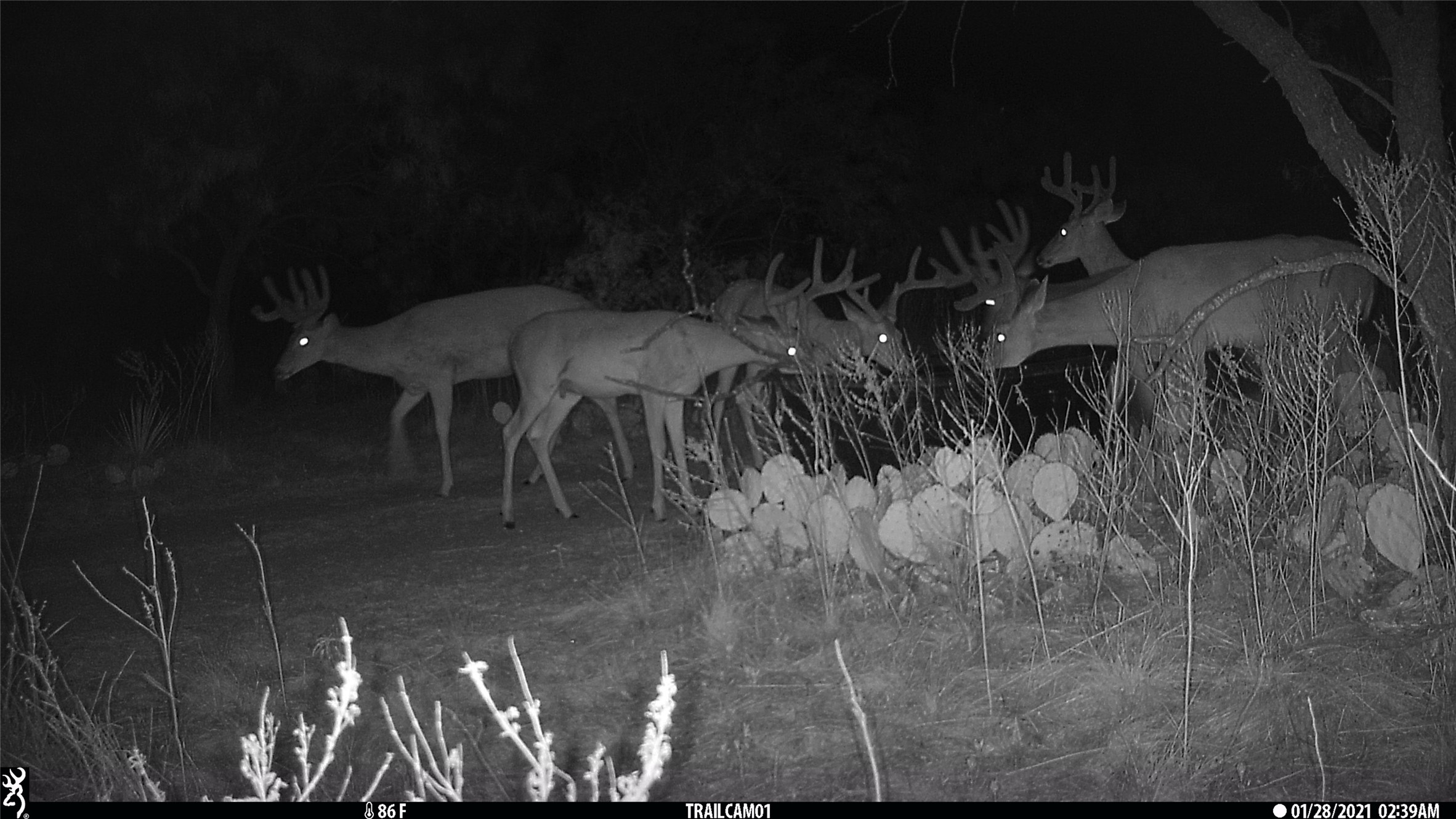 1078 County Road 498 Goldsboro TX 79519