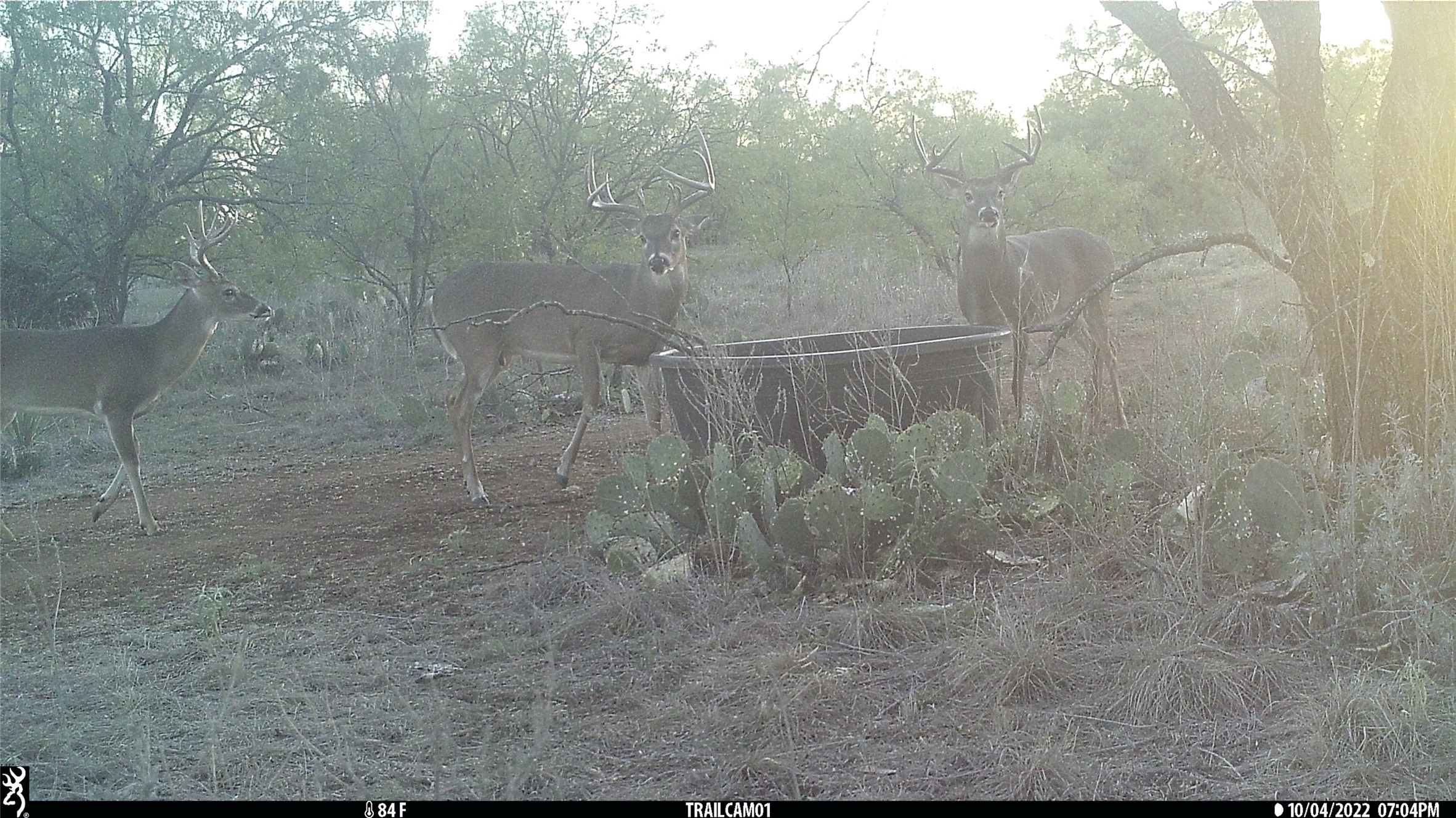 1078 County Road 498 Goldsboro TX 79519
