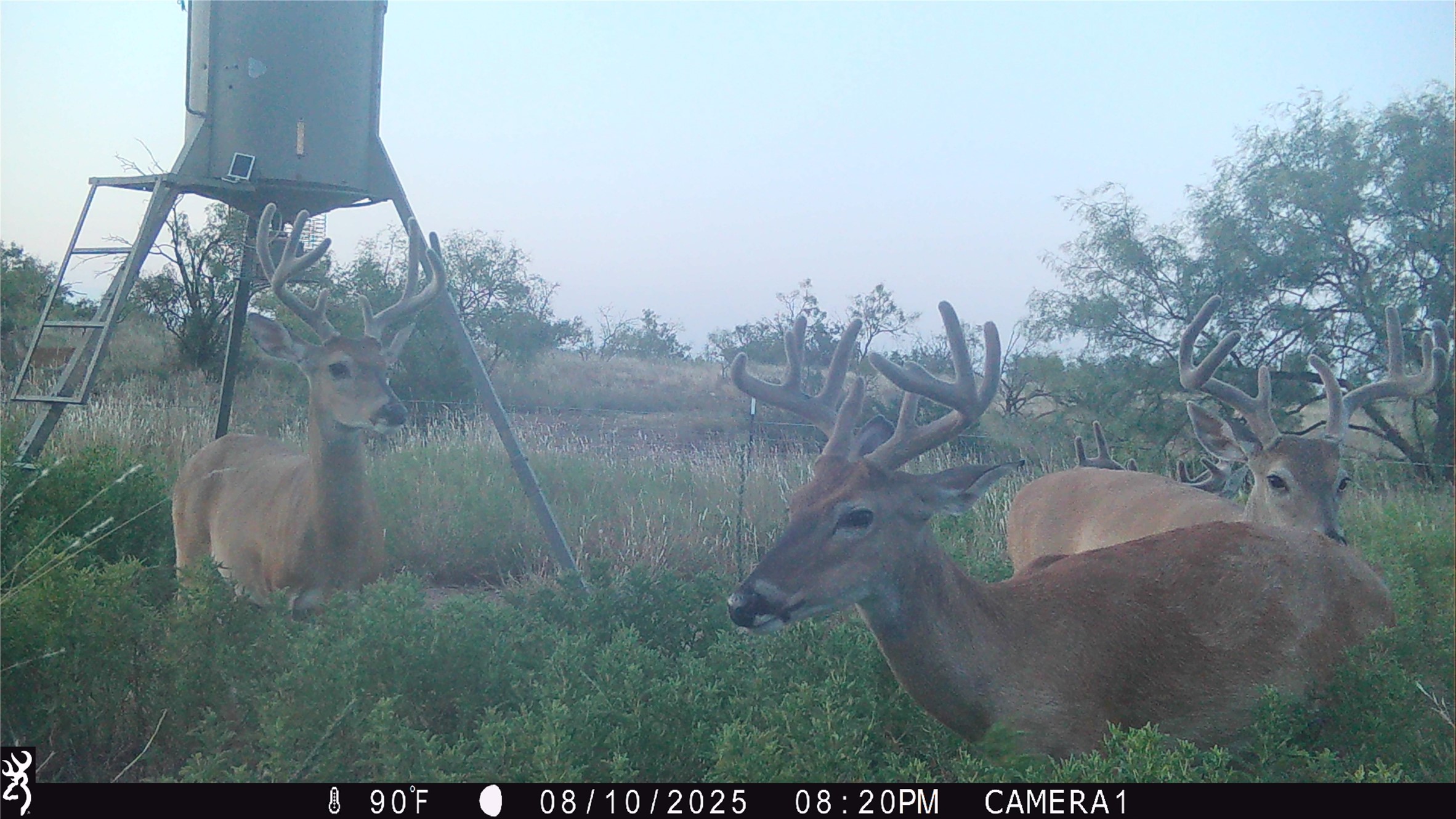 1078 County Road 498 Goldsboro TX 79519