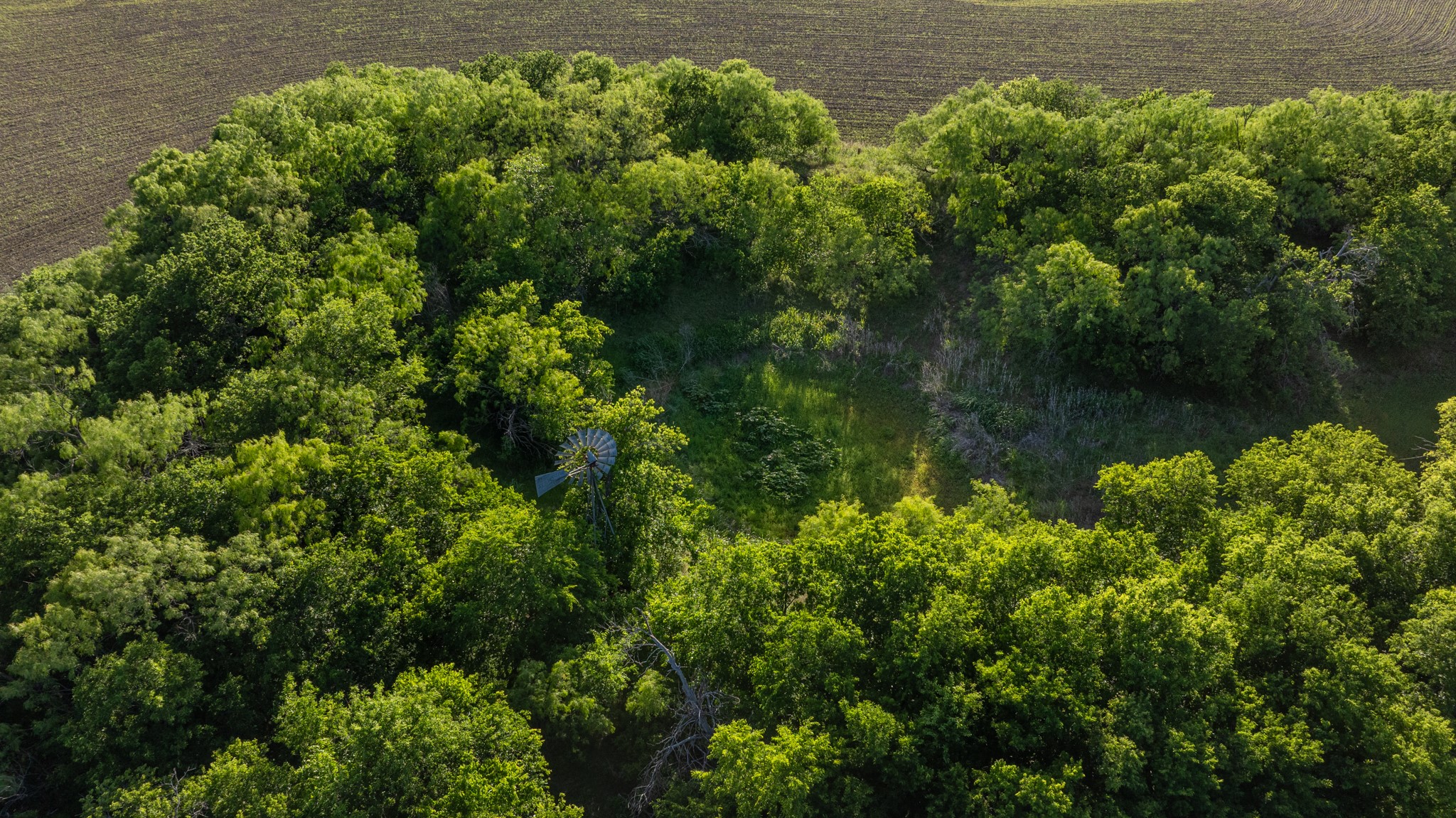 901 County Road 160 Burkett TX 76828