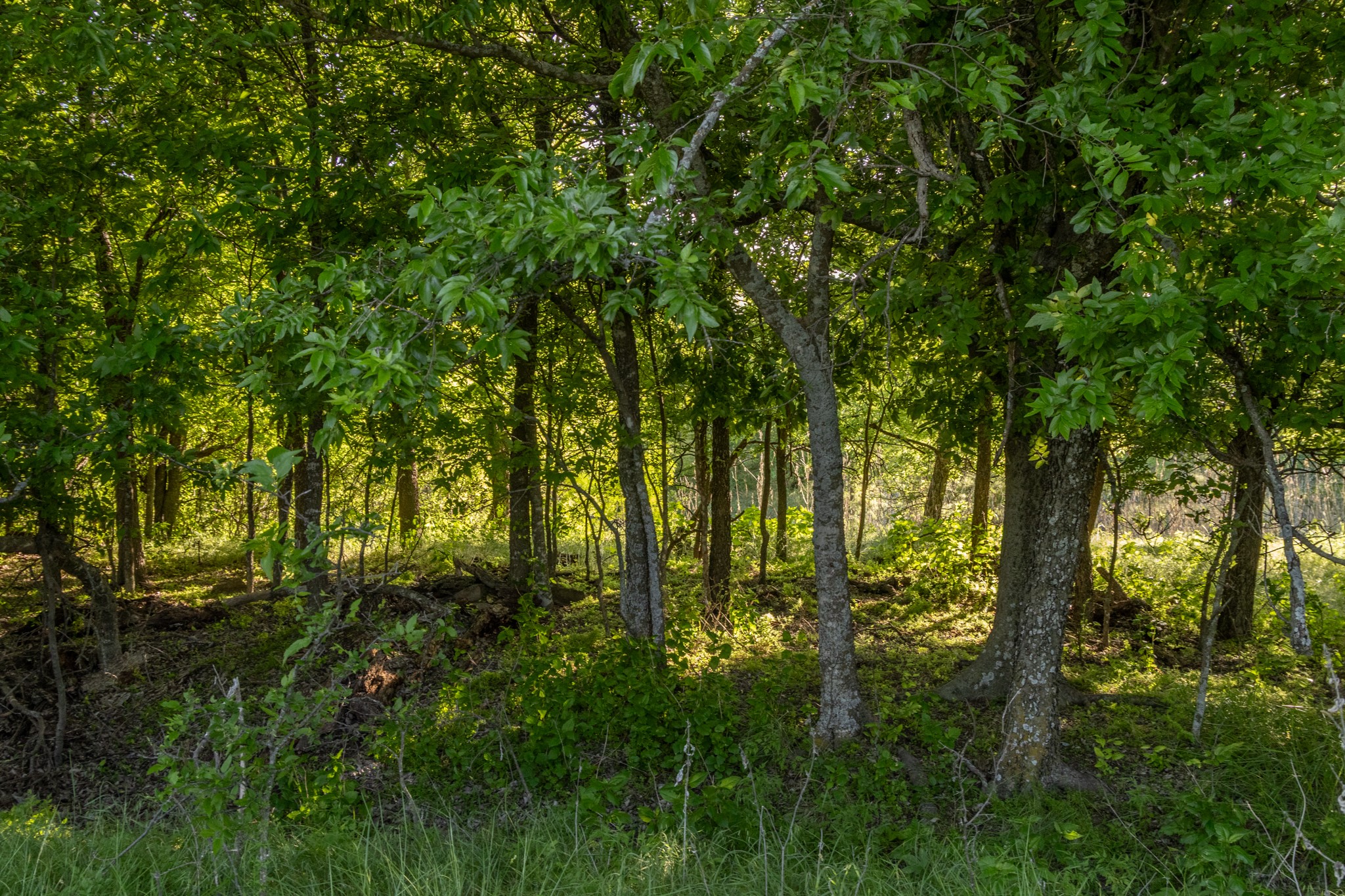 901 County Road 160 Burkett TX 76828