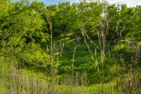 901 County Road 160 Burkett TX 76828