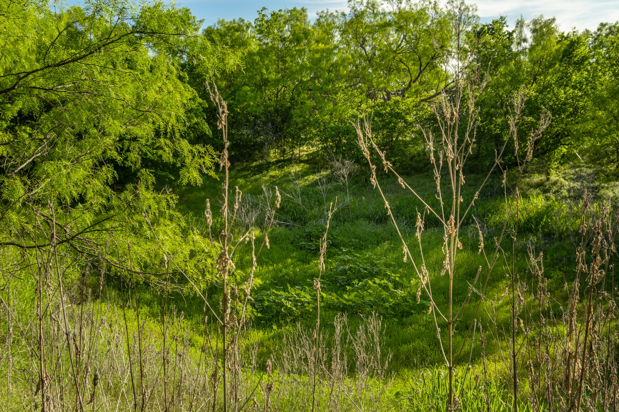 901 County Road 160 Burkett TX 76828