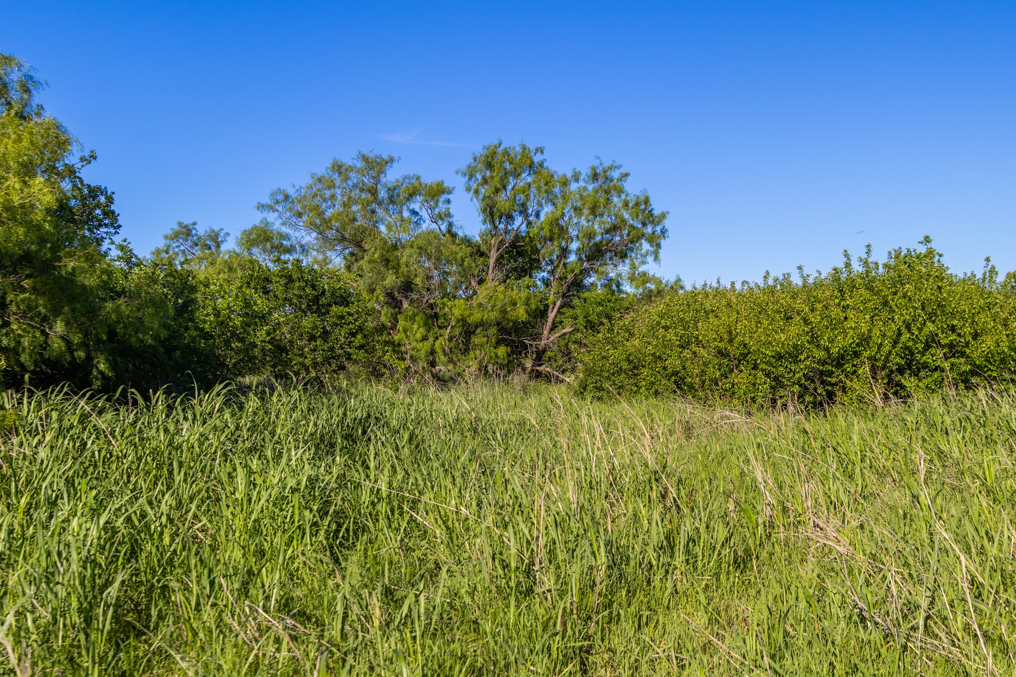 901 County Road 160 Burkett TX 76828
