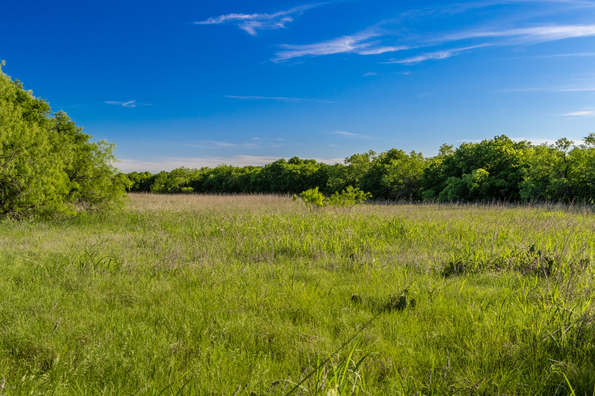 901 County Road 160 Burkett TX 76828
