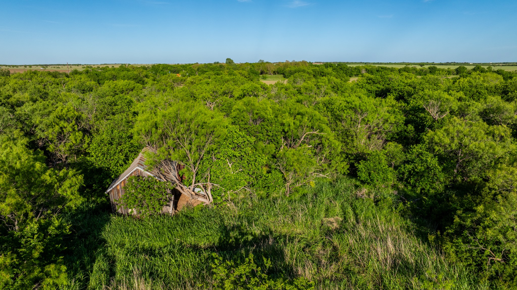 901 County Road 160 Burkett TX 76828