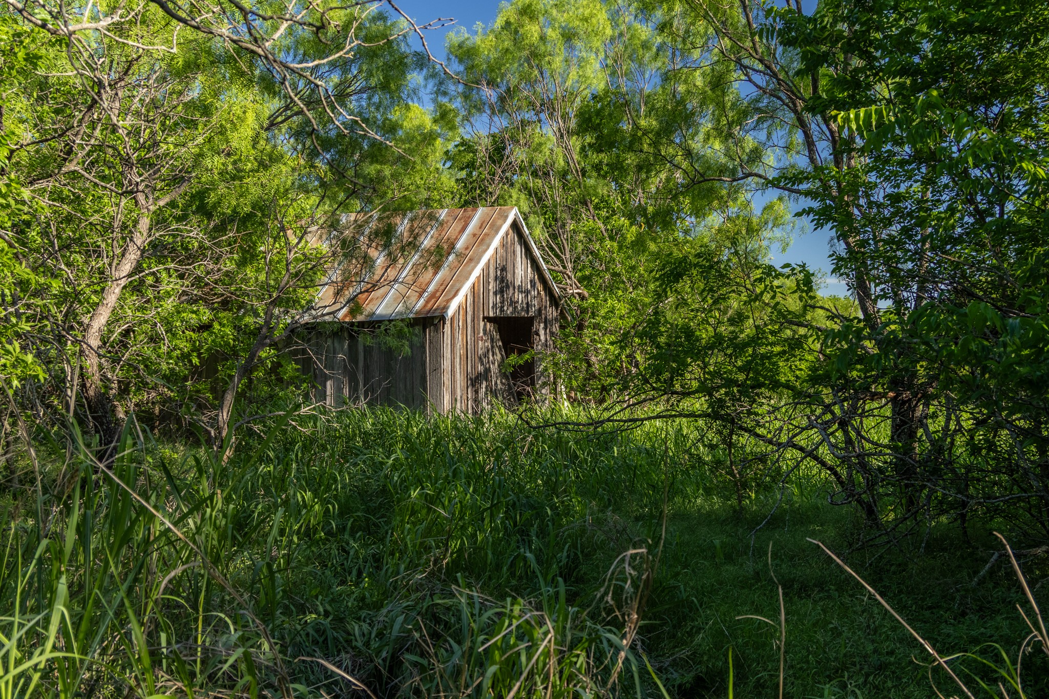 901 County Road 160 Burkett TX 76828