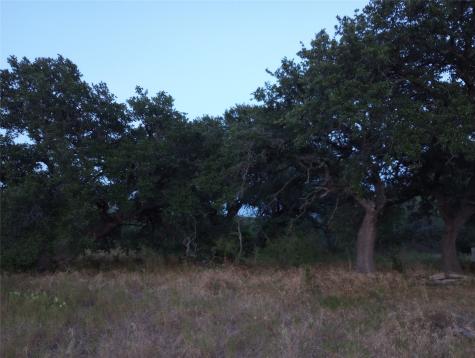 Tbd County Road 2550 Meridian TX 76665