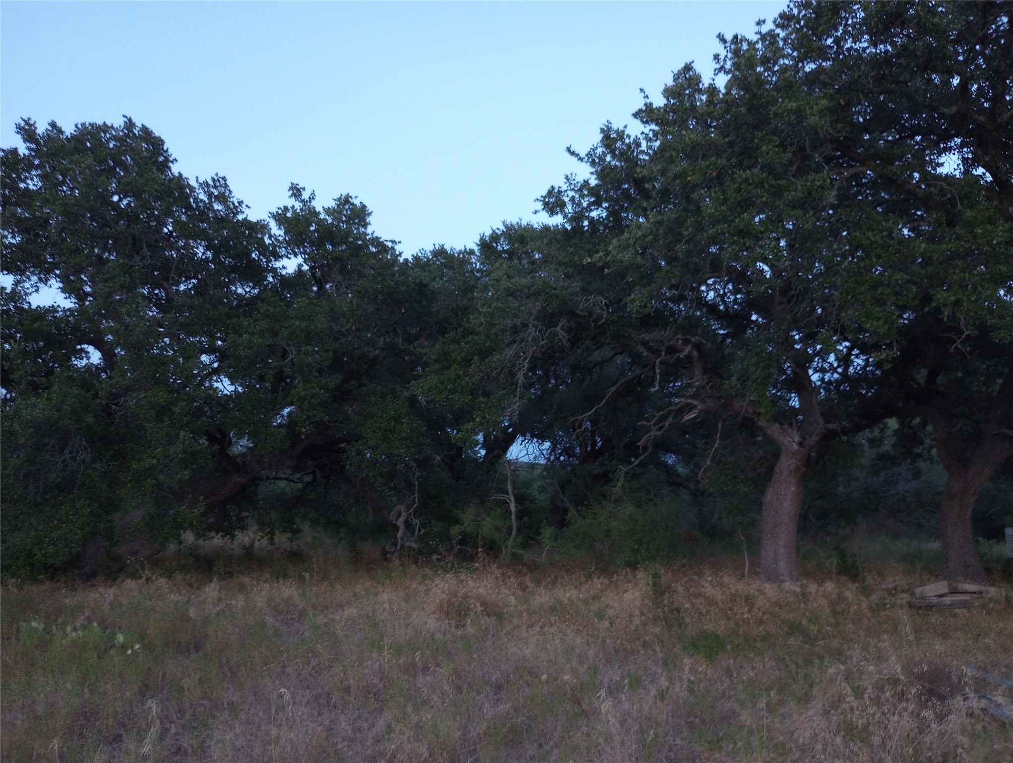 Tbd County Road 2550 Meridian TX 76665