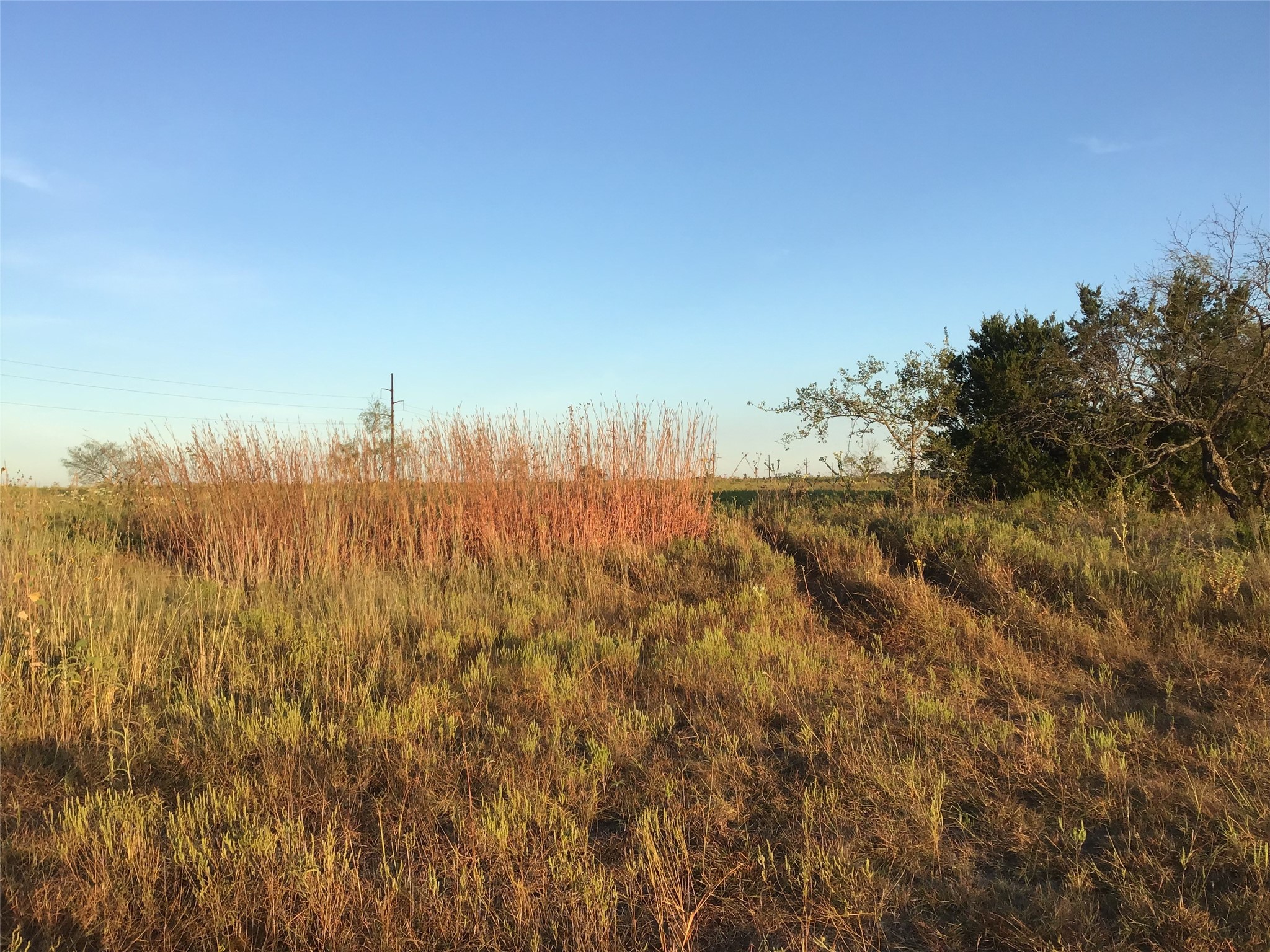 Tbd County Road 2550 Meridian TX 76665