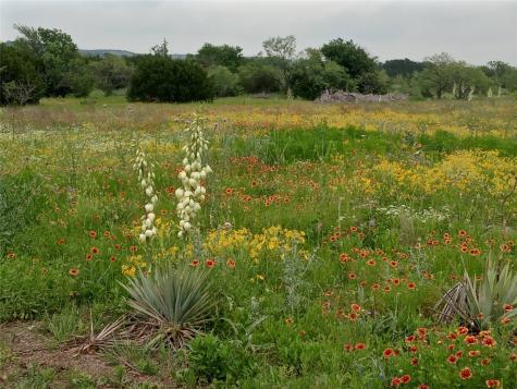 Tbd County Road 2550 Meridian TX 76665