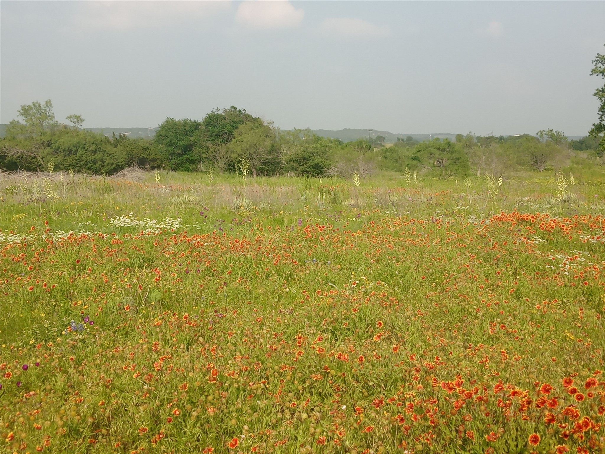 Tbd County Road 2550 Meridian TX 76665