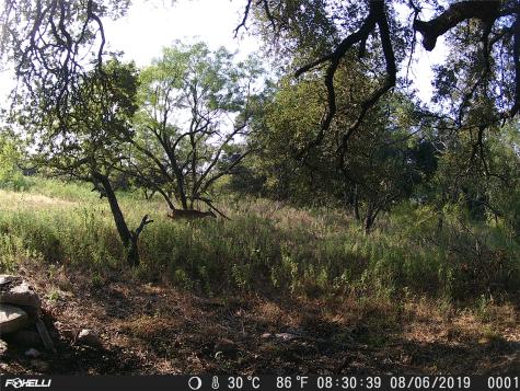 Tbd County Road 2550 Meridian TX 76665