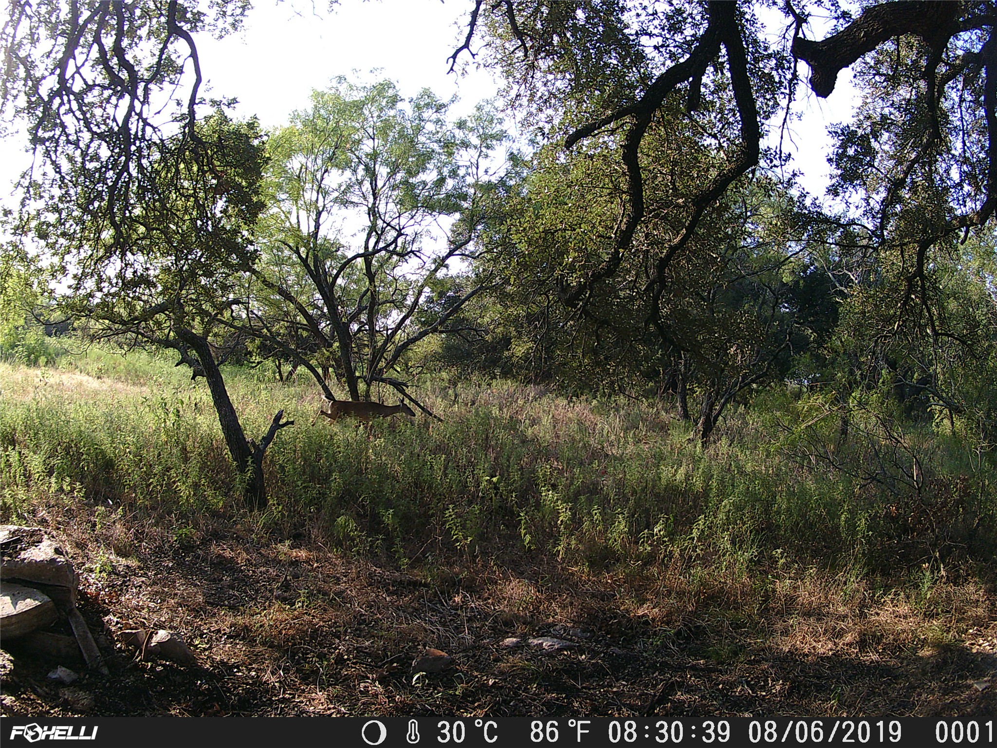 Tbd County Road 2550 Meridian TX 76665