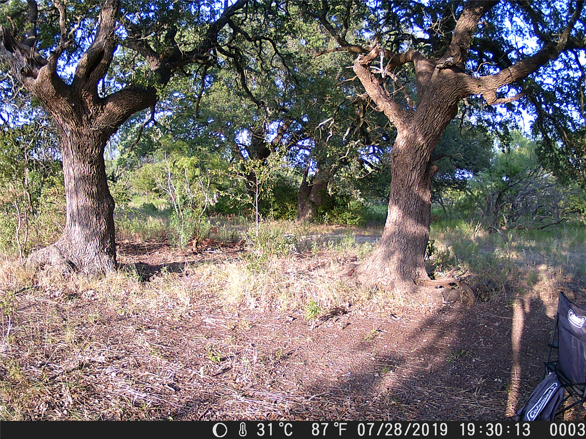Tbd County Road 2550 Meridian TX 76665