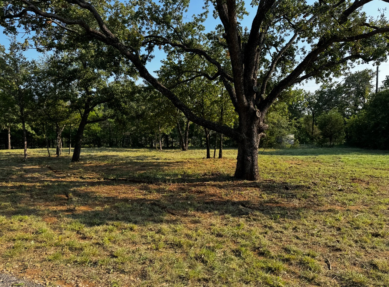 2017 Simmons Road Flower Mound TX 75022