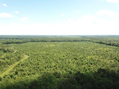0 County Road 4223 Simms TX 75574