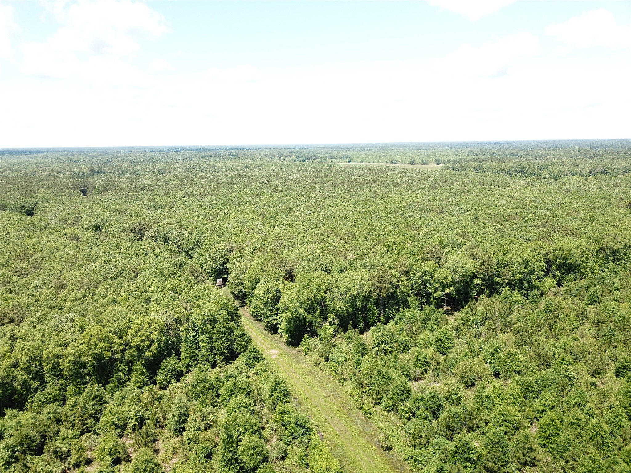 00 County Road 4223 Simms TX 75574