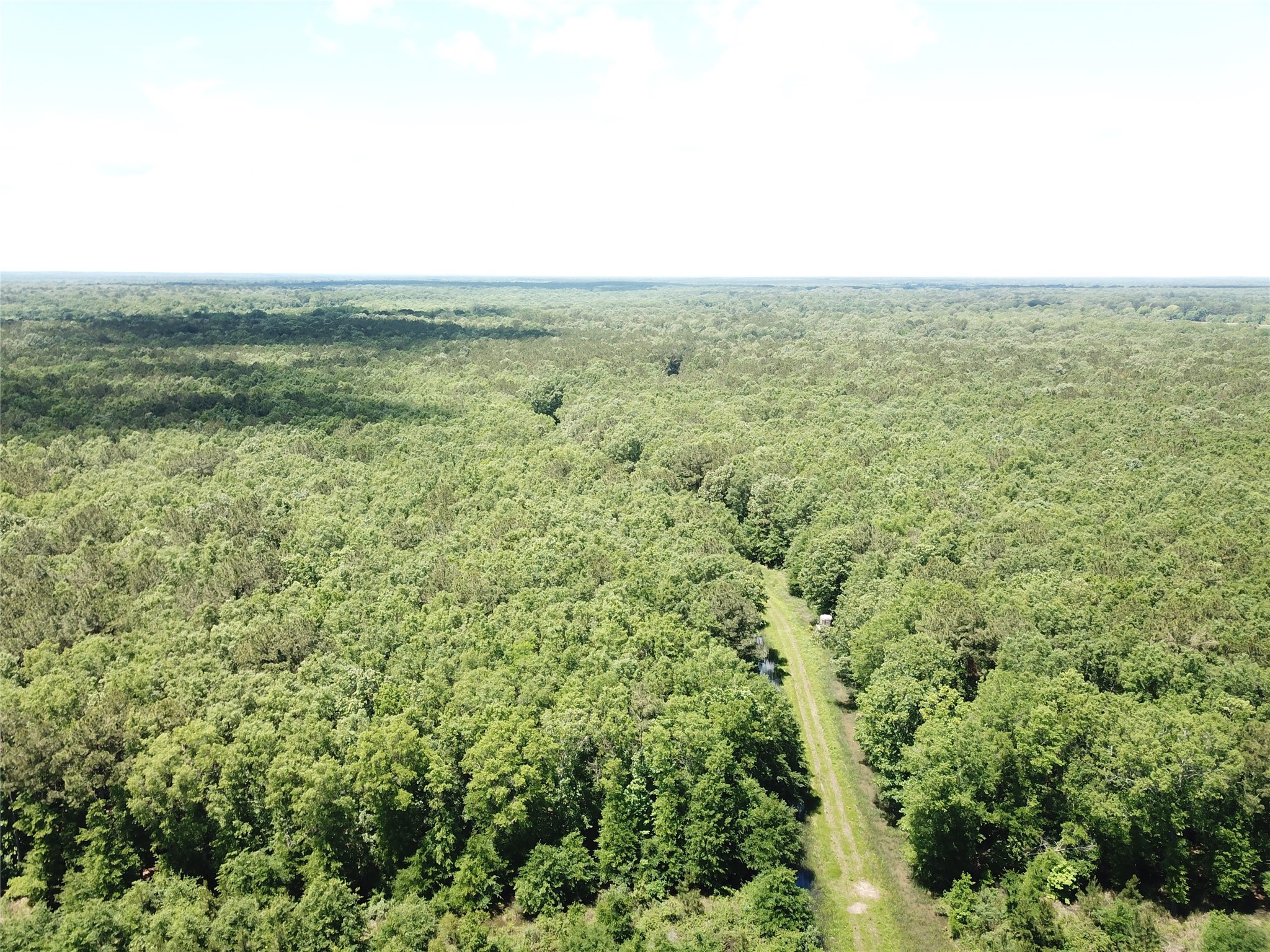 00 County Road 4223 Simms TX 75574
