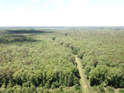 00 County Road 4223 Simms TX 75574