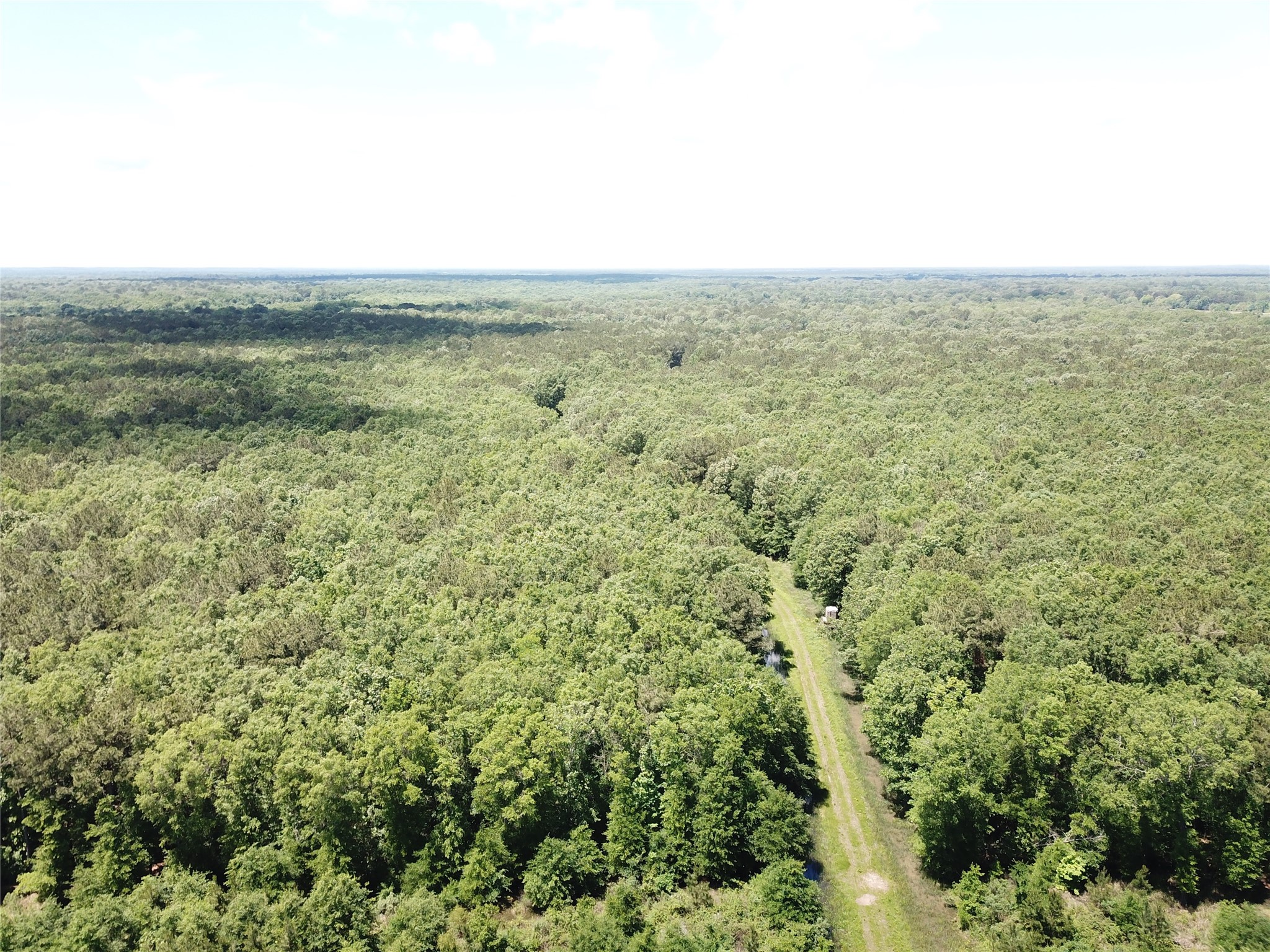 00 County Road 4223 Simms TX 75574