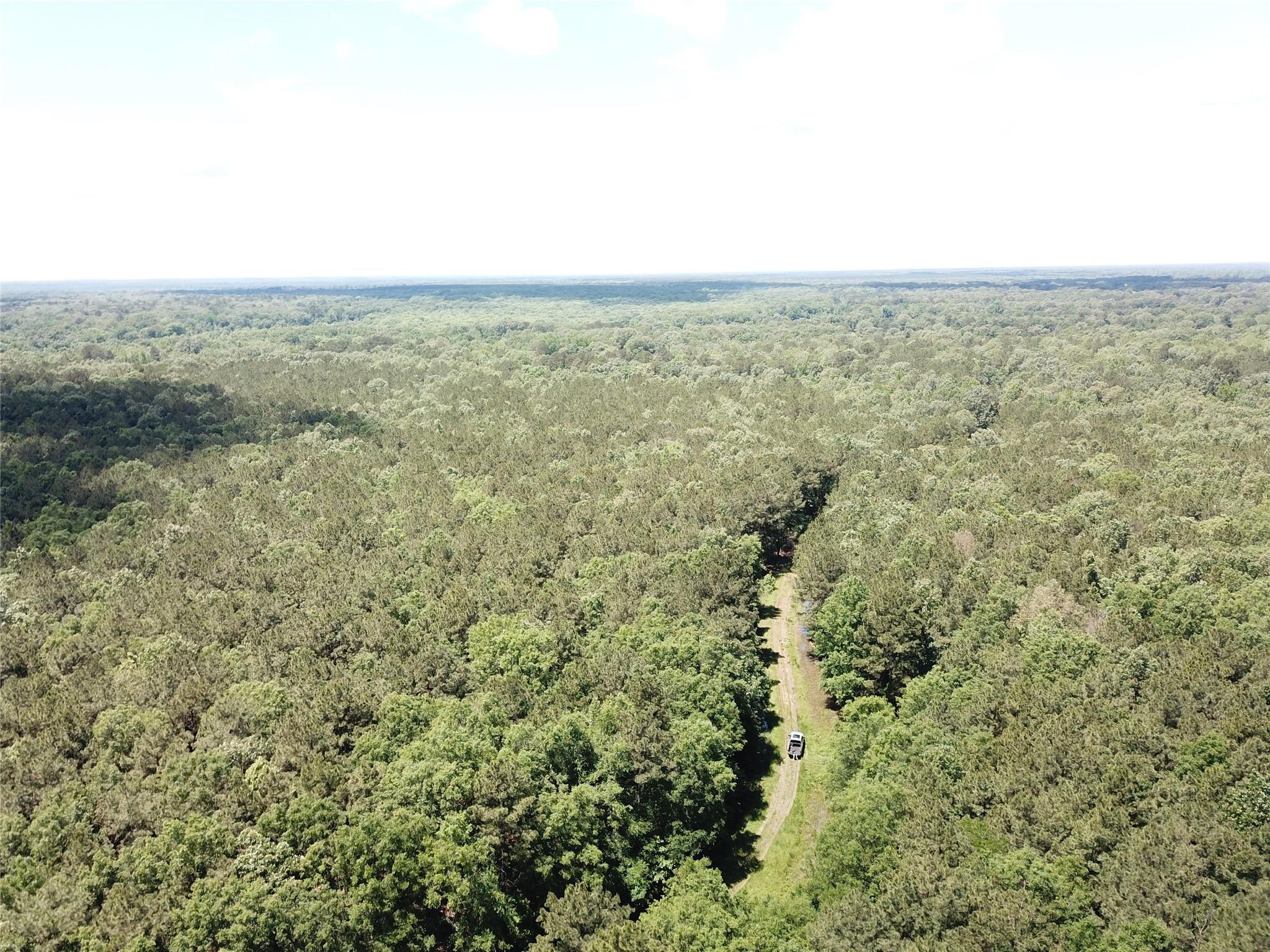 00 County Road 4223 Simms TX 75574