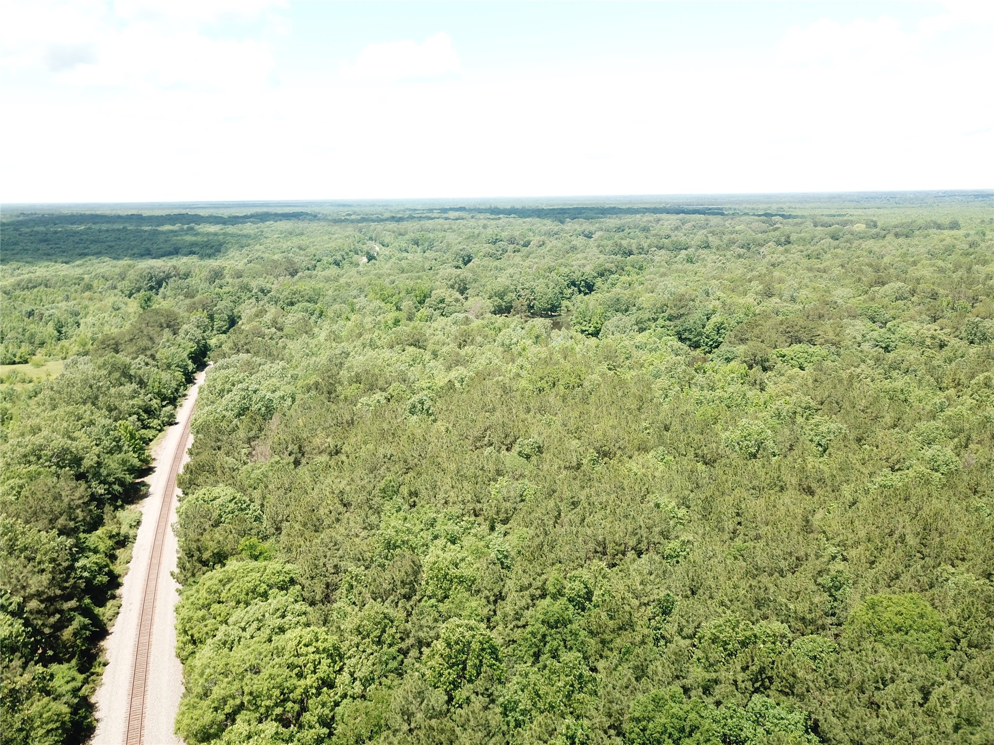 00 County Road 4223 Simms TX 75574