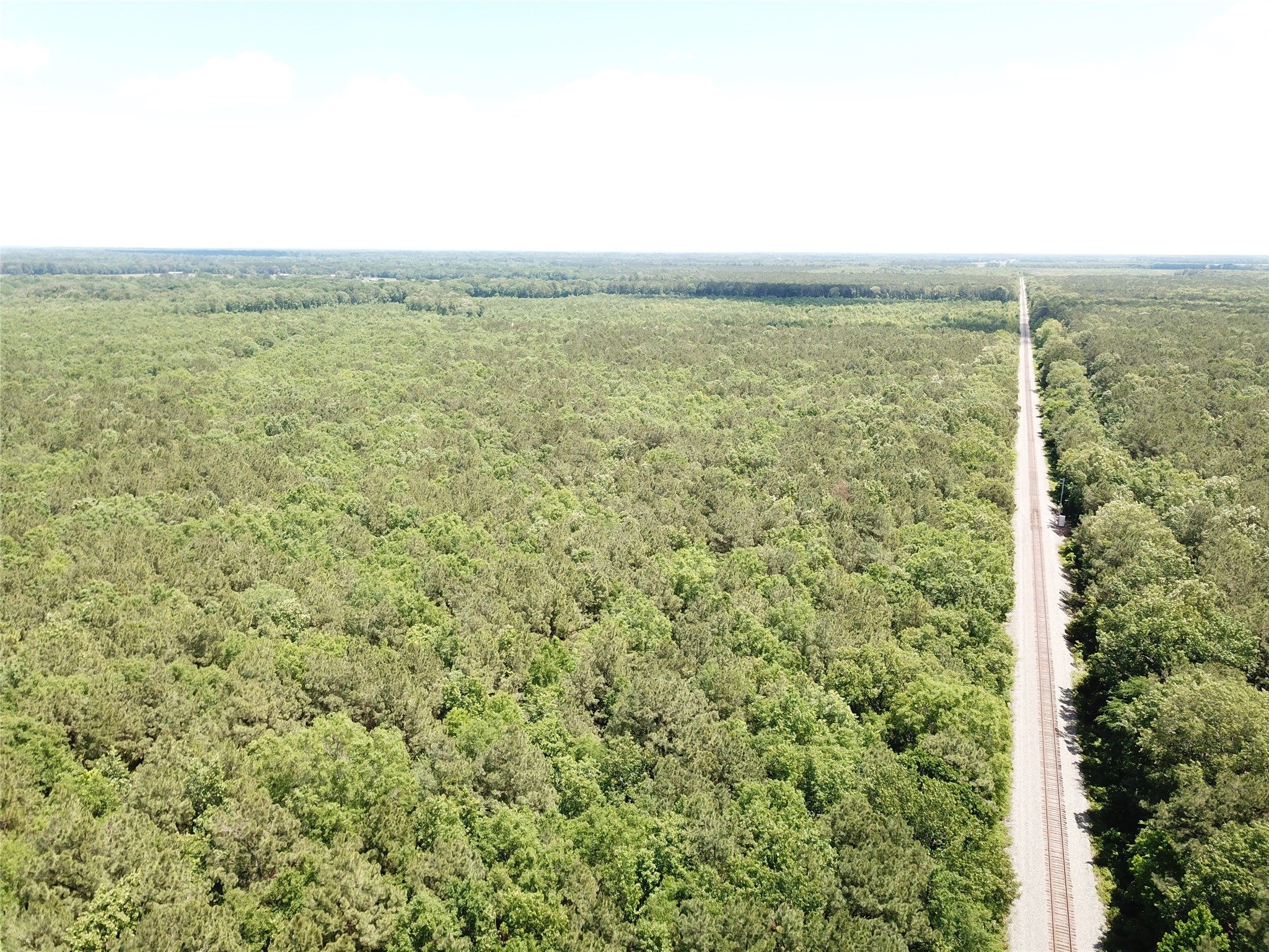 00 County Road 4223 Simms TX 75574
