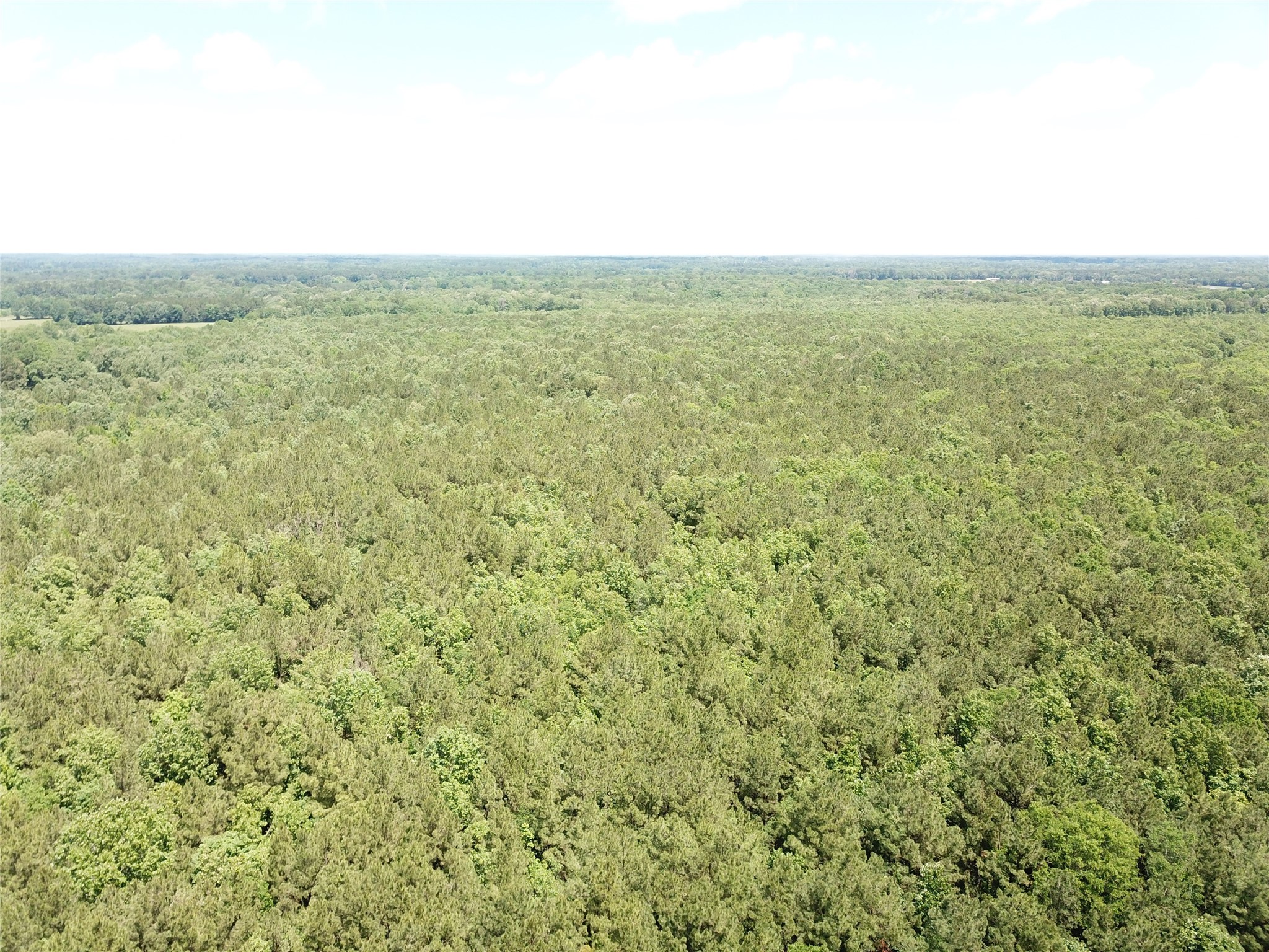 00 County Road 4223 Simms TX 75574
