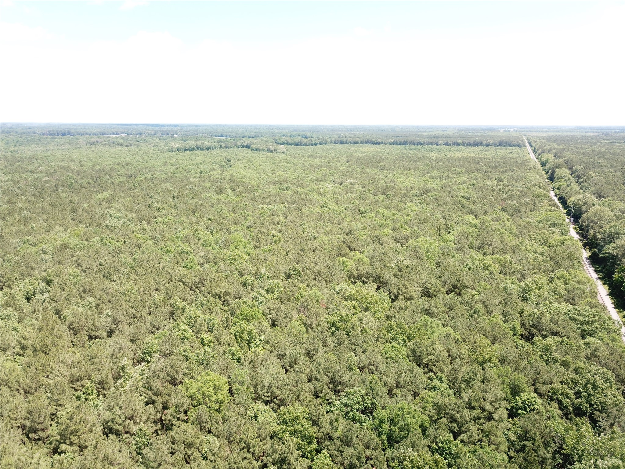 00 County Road 4223 Simms TX 75574