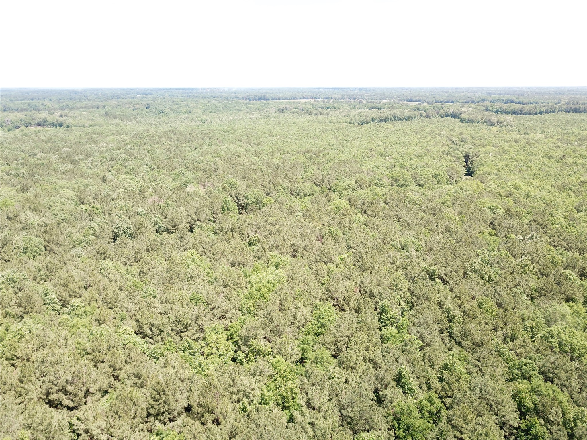 00 County Road 4223 Simms TX 75574