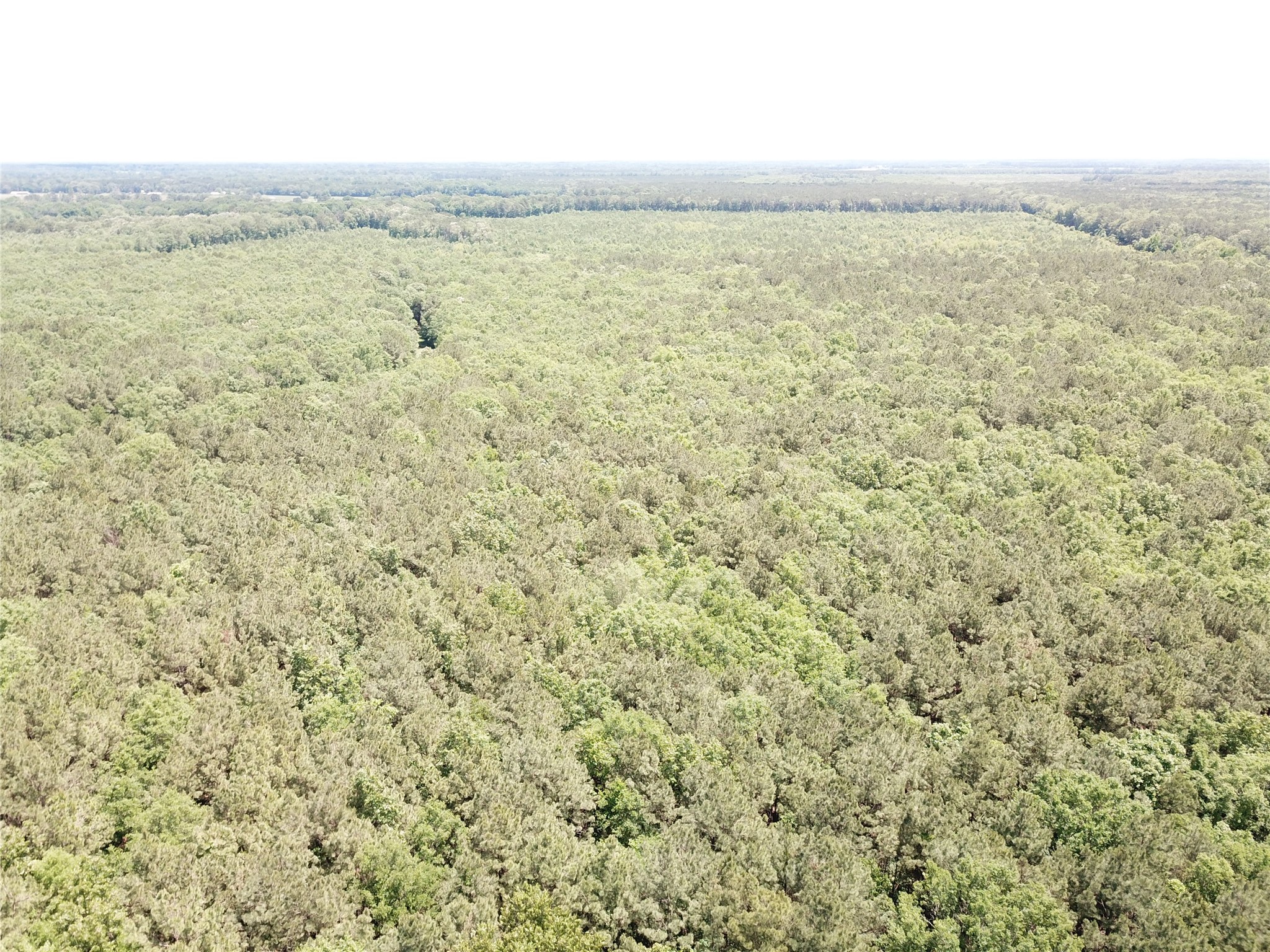 00 County Road 4223 Simms TX 75574