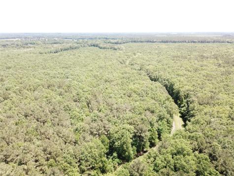 00 County Road 4223 Simms TX 75574