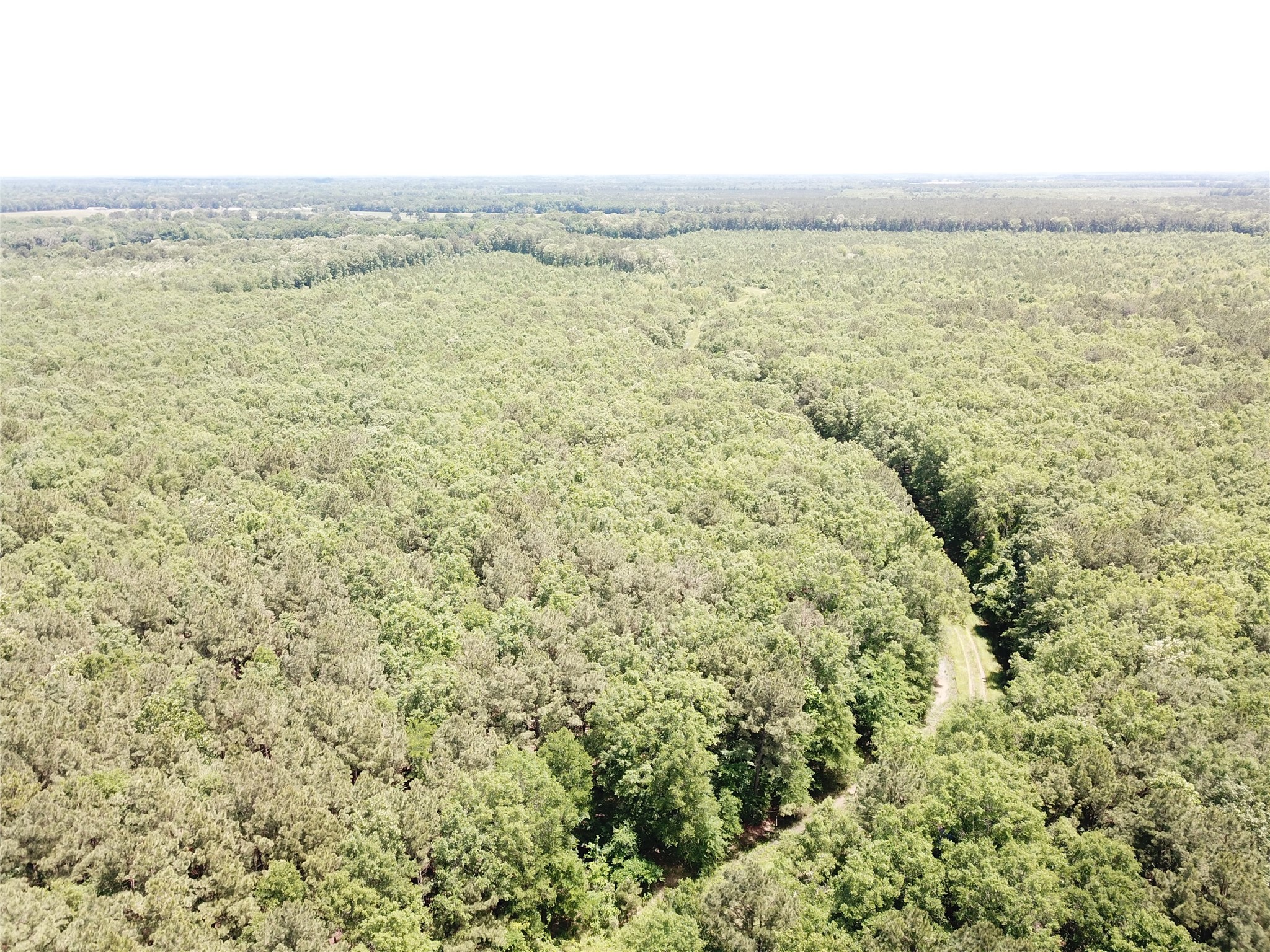 00 County Road 4223 Simms TX 75574