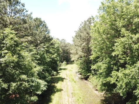 00 County Road 4223 Simms TX 75574