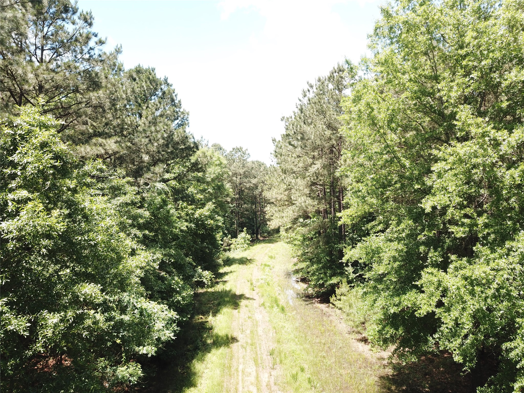 00 County Road 4223 Simms TX 75574
