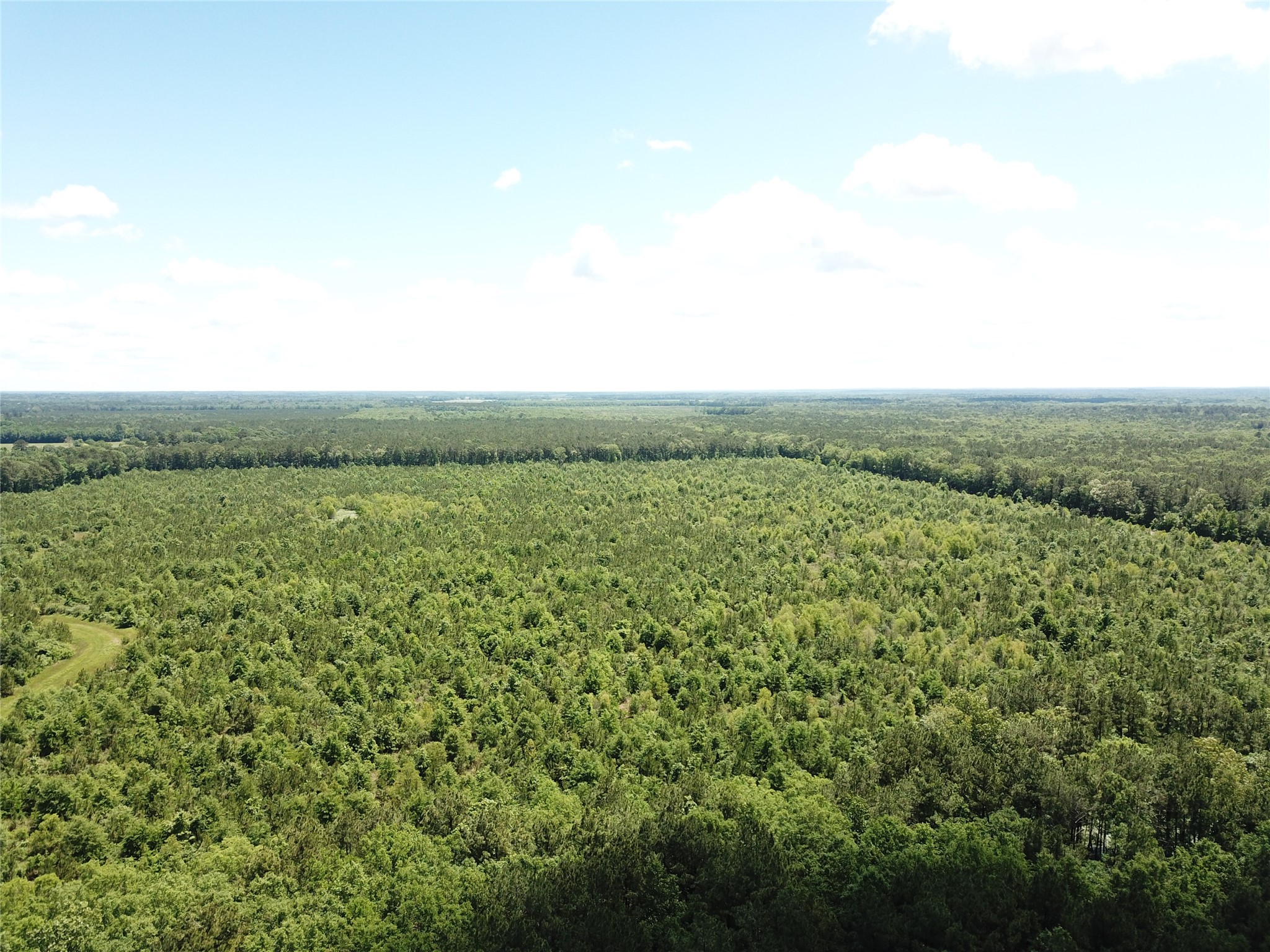 00 County Road 4223 Simms TX 75574