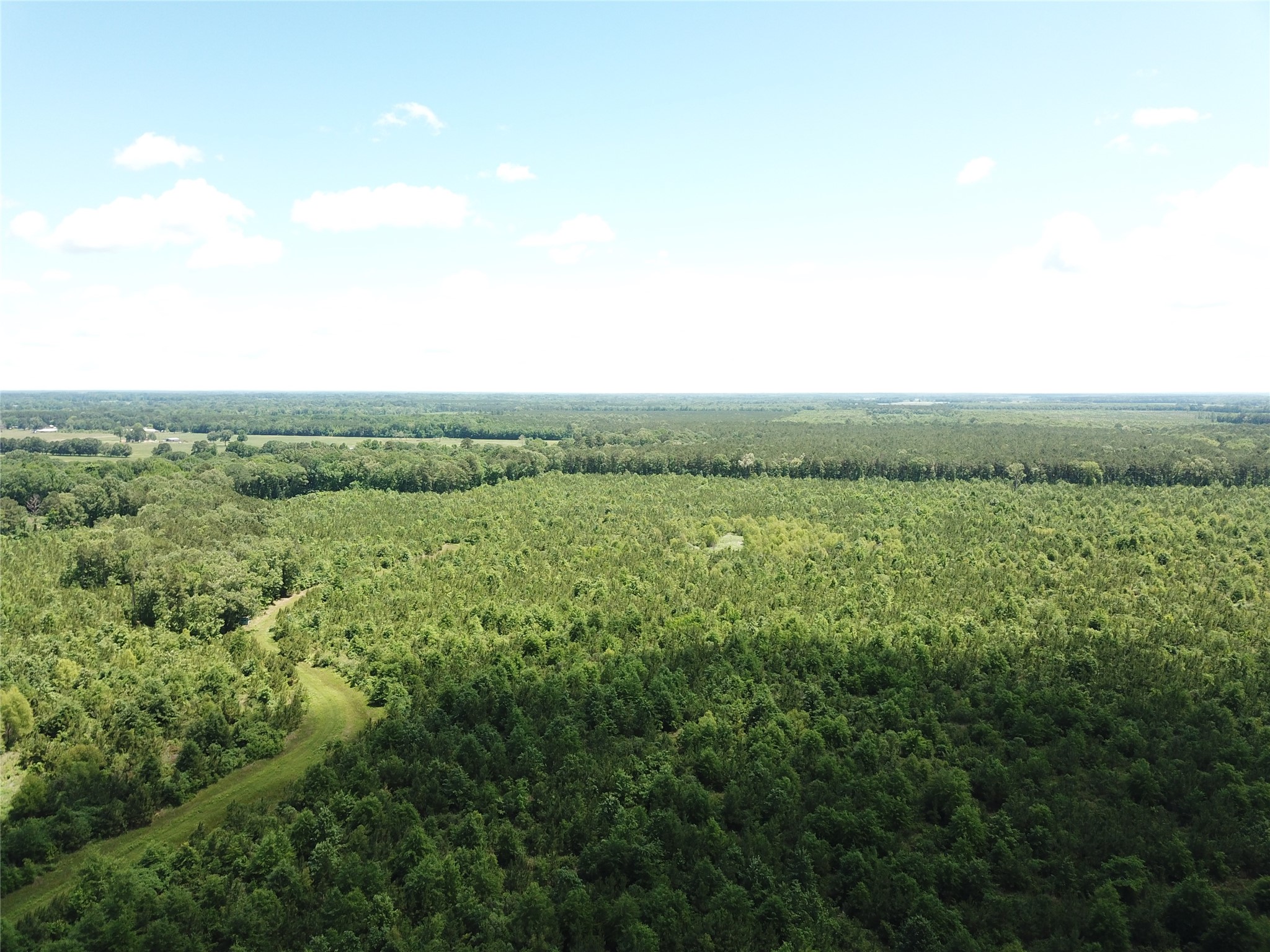 00 County Road 4223 Simms TX 75574
