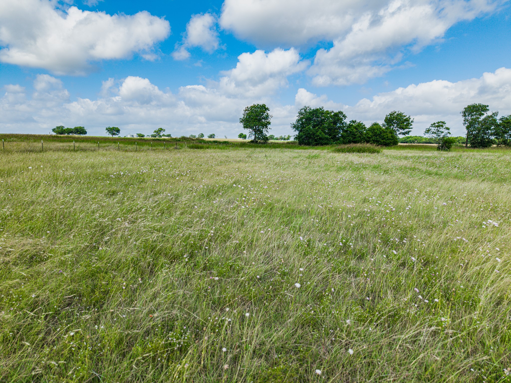 255 Turkey Run Road Crawford TX 76638