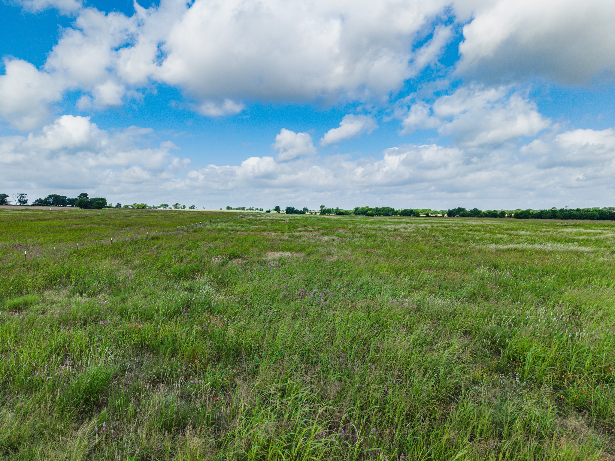 255 Turkey Run Road Crawford TX 76638