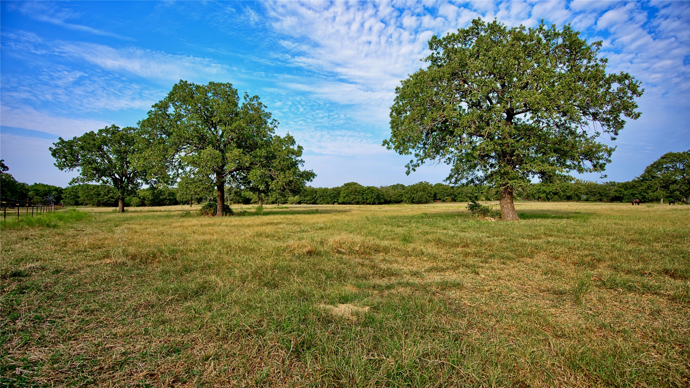 5775 Old Vashti Road Bowie TX 76230